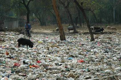 rubbish-in-India.jpg