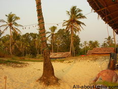 Colva beach, sandy palm tree, goa