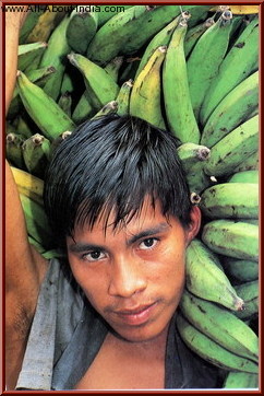 People of India man with bananas
