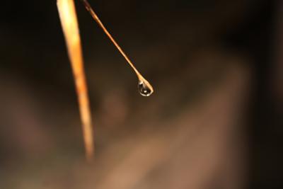 A tiny droplet