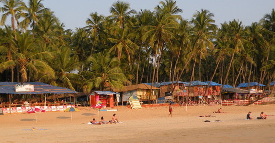 Palolem Beach, Palm trees, Beach huts