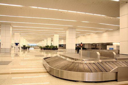 Baggage reclaim, new delhi terminal 3
